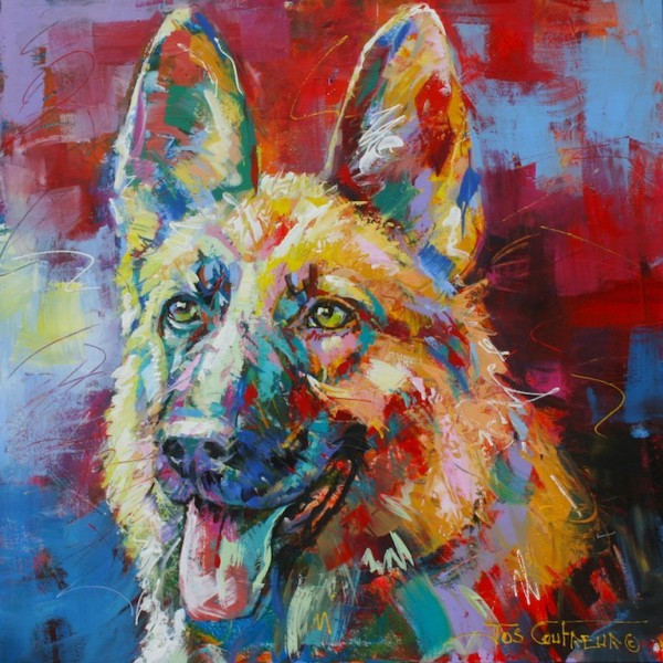 German Shepherd 4